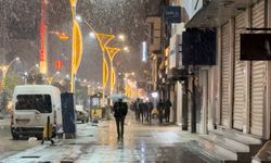 Hakkari’de kış erken geldi, lapa lapa kar yağdı