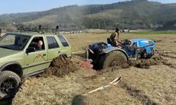 Pikniğe giderken hayatlarının şokunu yaşadılar