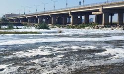 Diyarbakır’da Dicle Nehri'nde korkutan görüntü! İnceleme başlatıldı