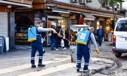 Diyarbakır’da ekipler sahaya indi, haşerelerle amansız mücadele