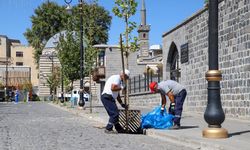 Diyarbakır'da kışa hazırlık mesaisi başladı