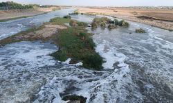 Numune alınmıştı: Dicle Nehri’ndeki su temiz çıktı