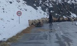 Van'da besicilerin zorlu kış mesaisi