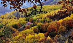 Dersim’de sonbahar şöleni