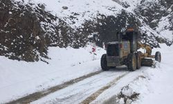 Diyarbakır'da kapanan 98 köy yolu ulaşıma açıldı