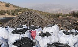 Diyarbakır’da siyah çile! Zahmet çok karşılığı yok