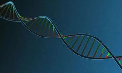 Bilim insanları Türklerin DNA'sının en çok benzediği milleti açıkladı