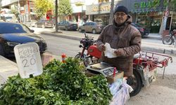 70 yaşındaki Mustafa dedenin hayat mücadelesi