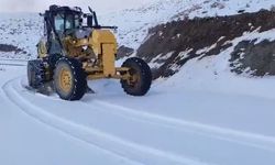 Şırnak'a mevsimin ilk karı düştü, köy yolu kapandı