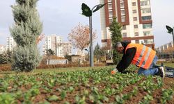 Diyarbakır’da yeşil karar