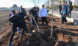 Diyarbakır’da bir örneği daha yok!