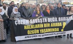 Diyarbakır'da Suriye açıklaması: Bir tek barış denenmedi