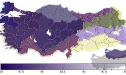 Diyarbakır'ın IQ seviyesi ne kadar?