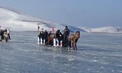 Donan gölde atlı kızak keyfi