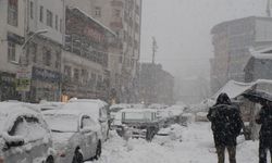 Hakkari'de 11 köy ve 40 mezra yolu kapandı