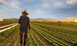 ÇKS son başvuru tarihi ne zaman? çiftçiler için kritik tarihler