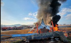 Güney Kore’de uçak kazası: 120 ölü