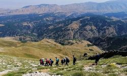 Diyarbakır’ın en yüksek ve önemli dağları hangileri?