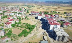 Elazığ’da şap karantinası