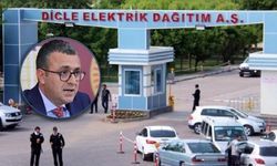 Silvan’daki elektrik direği sorunu Meclis gündeminde