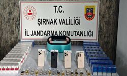 Şırnak’ta kaçakçılık operasyonu: 1 tutuklama