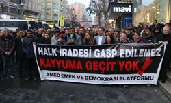 Zeydan’a verilen ceza Diyarbakır’da protesto edildi