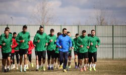 Diyarbekirspor kendi evinde yenildi