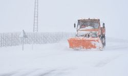 Bingöl-Erzurum kara yolu kar ve tipi nedeniyle tır trafiğine kapatıldı