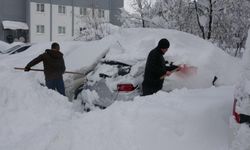 Bitlis kar ve tipiye teslim, merkezde 2 metreyi buldu