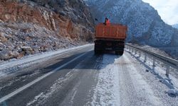 Siirt’te don tehlikesi, yollar tuzlanmaya başladı