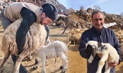 Dersim’de şap tedirginliği devam ediyor