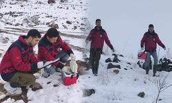 Dersim’de veteriner hekimlerin şapla mücadelesi sürüyor