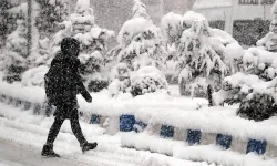 Valilikler peş peşe duyurdu! Okullara kar tatili