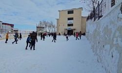 Siirt'in 3 ilçesinde taşımalı eğitime kar tatili