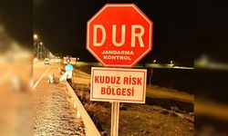 Adıyaman'da ‘kuduz’ alarmı