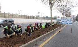 Diyarbakır mis gibi gül kokacak