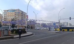 Diyarbakır mor flamalarla süslendi