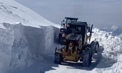 Kar kalınlığı 4 metreyi buldu: 20 yerleşim yeri ulaşıma kapandı