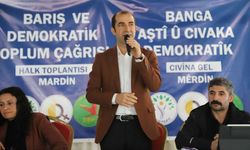 Barış ve Demokratik Toplum Çağrısı buluşmaları başladı