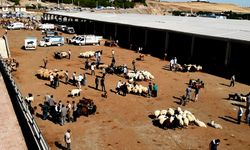 Diyarbakır, Türkiye’nin hayvan zengini listesinde