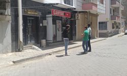 Pompalı tüfekle kediyi öldüren şahıs serbest bırakıldı