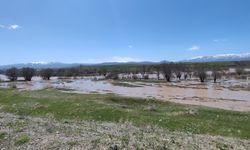Ağrı'da yağmur felaketi; Murat Nehri taştı