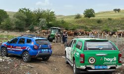 Diyarbakır'da besicilere jandarmadan uyarı!