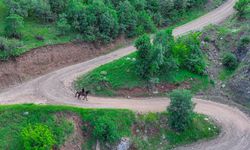 Diyarbakır için at tutkunlarının buluşma noktası