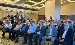 Diyarbakır'da dikkat çeken çalıştay