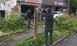 Diyarbakır’da halk istedi belediye anında çözdü