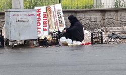 Diyarbakır'da insanlık dramı!