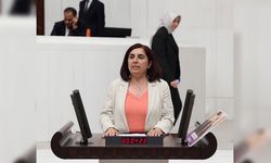 Diyarbakır’da krize neden olmuştu, Meclis’e taşındı