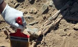 Diyarbakır’daki toplu mezar iddiası Külliye’de