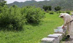 Diyarbakır’dan gözde mekana arıcı göçü